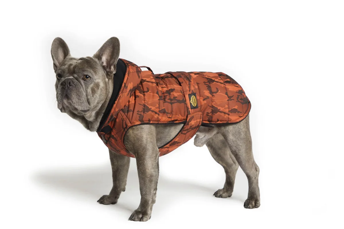 Fashion Dog – Casaco acolchoado forrado a velo para Bulldog Francês e Pug com capuz  Art. 158