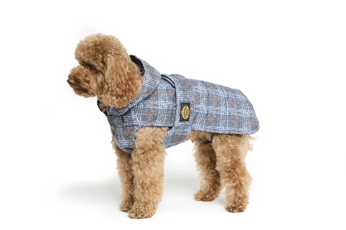 Fashion Dog – Abrigo impermeable acolchado para perro con capucha y lazo para babero  Art. 264