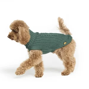 Fashion Dog – Pull en laine mérinos  Art. 303 Classic