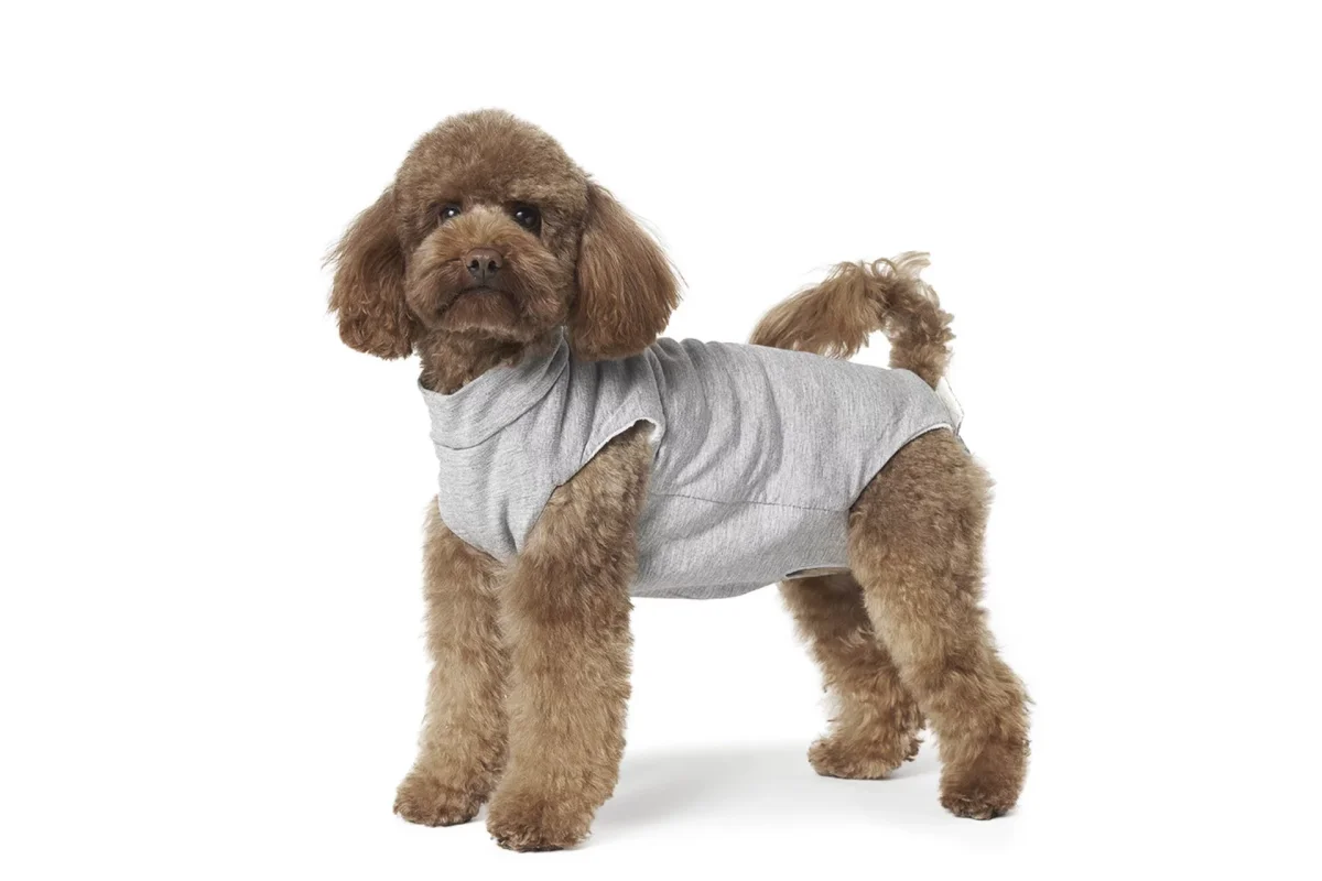 Fashion Dog – Body Care Animaux de compagnie doublé en tissu hypoallergénique et écologique – ventre nu  Art. 801