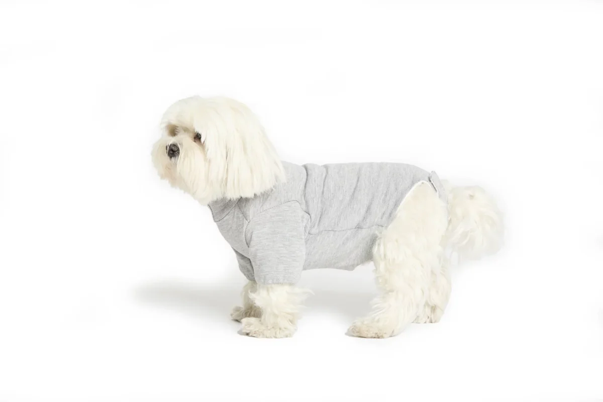 Fashion Dog – Body Care Pets forrado em tecido hipoalergénico e ecológico com proteção das patas dianteiras – barriga coberta  Art. 802