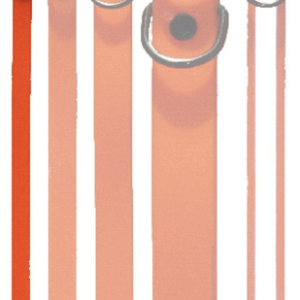 Collare Biothane 13 mm