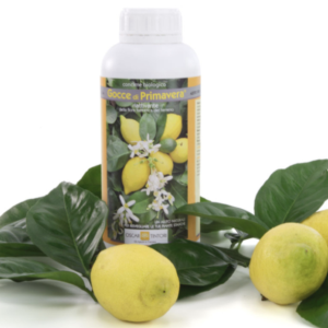 GOCCE DI PRIMAVERA – Concime biologico Agrumi