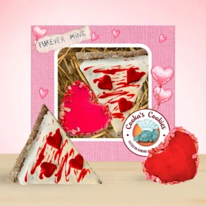 Set Regalo San Valentino per Cani “Amore alla Prima Fetta”: Pizza e Cuore (Tacchino)