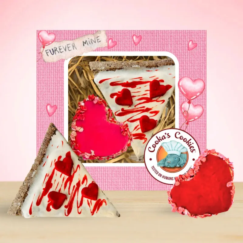 Set Regalo San Valentino per Cani “Amore alla Prima Fetta”: Pizza e Cuore (Tacchino)
